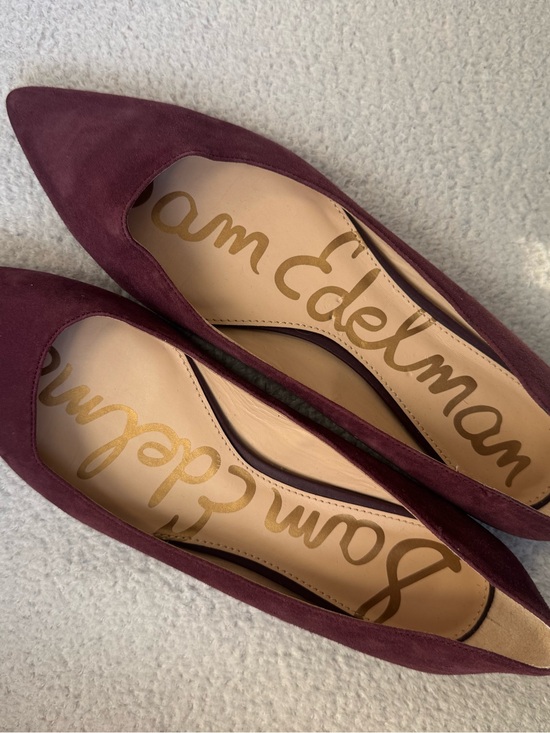 Sam Edelman Shoes - Sam Edelman Women's Pointed Toe Flats - Plum Suede